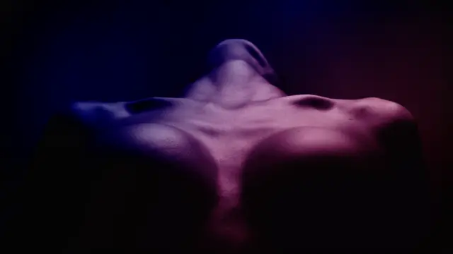 Mons Venus, gentlemen's club in Tampa